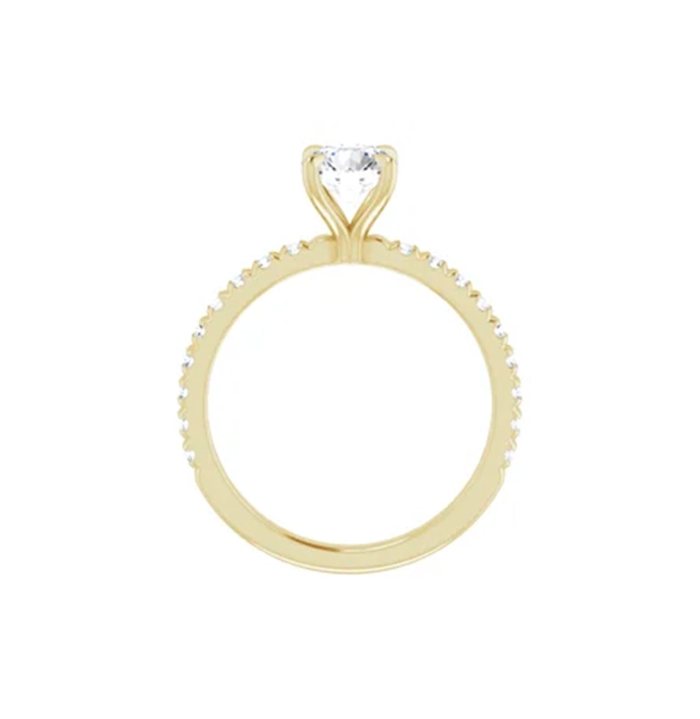 Montura Cosmo en Garra