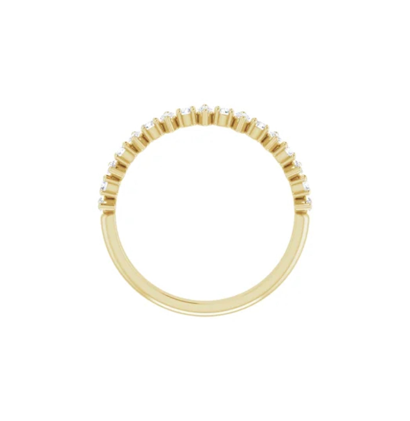 Lluvia de Meteoros y Cosmos