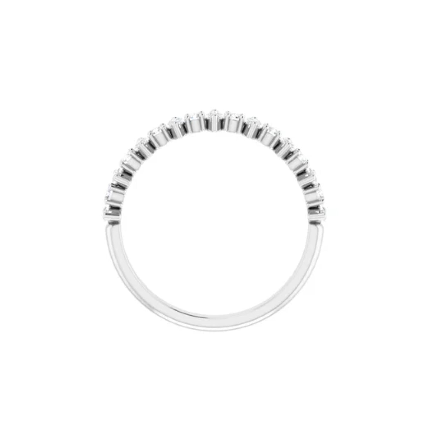 Lluvia de Meteoros y Cosmos