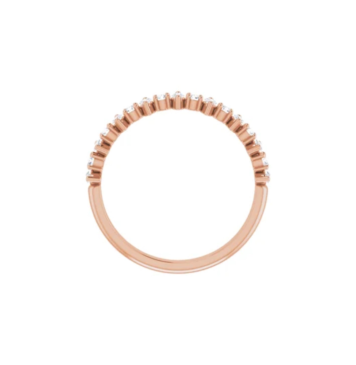 Lluvia de Meteoros y Cosmos