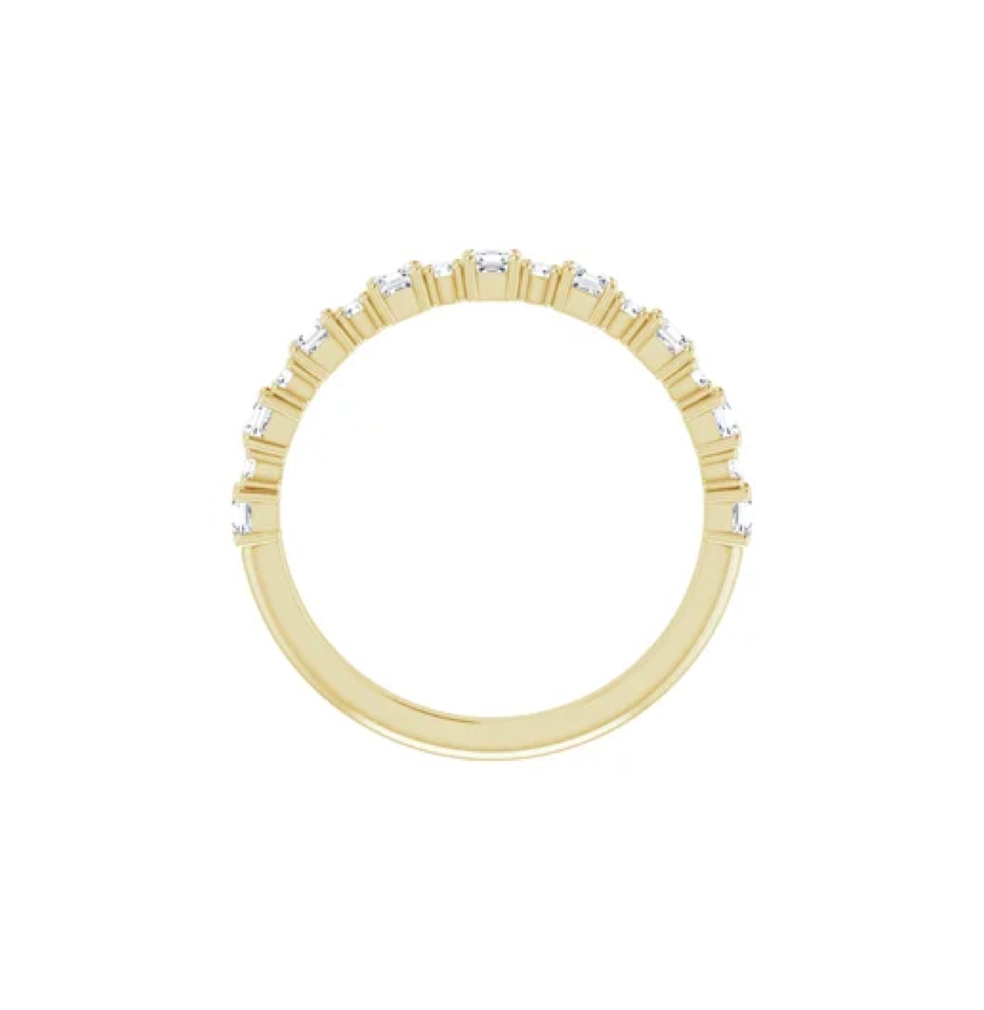 Lluvia de Meteoros y Estrellas